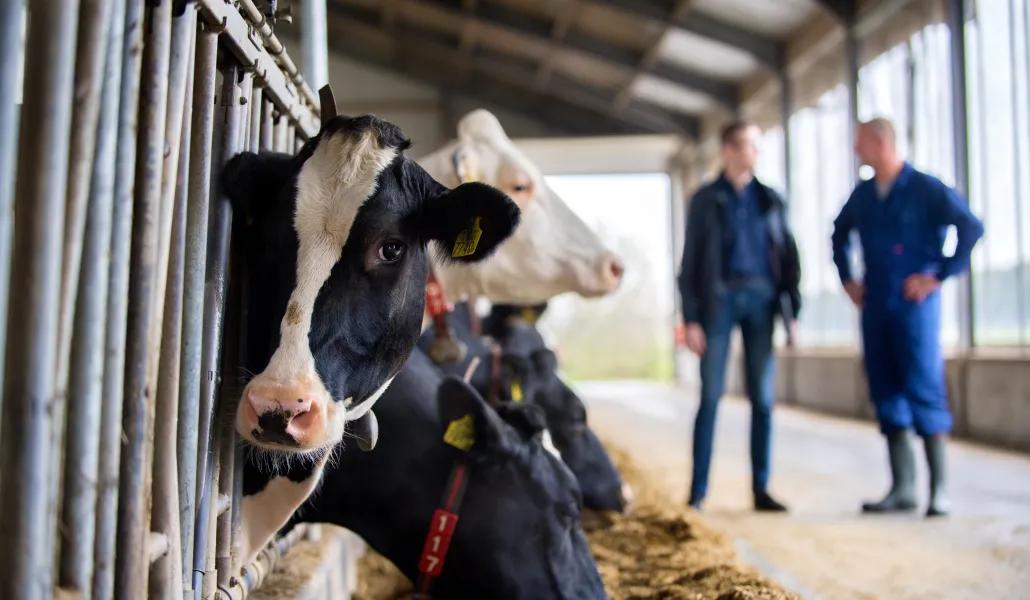 Adviseur met boer op locatie
